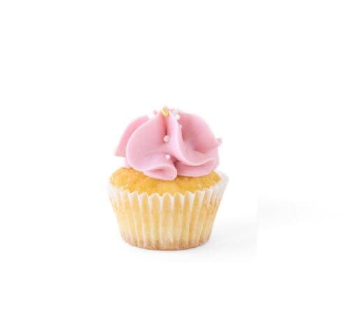 Sugarberry Spark minicupcake
