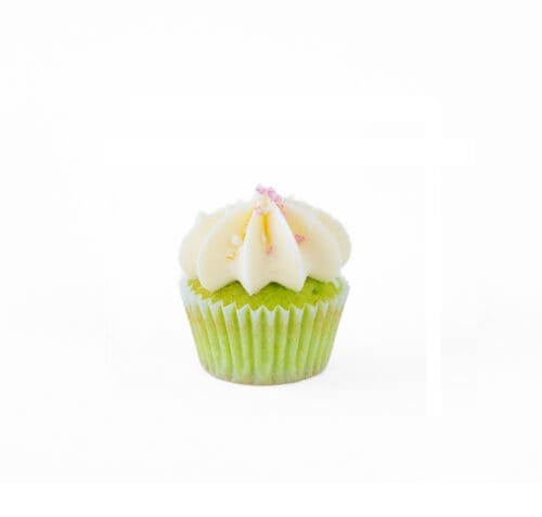 Coconut Carnival minicupcake